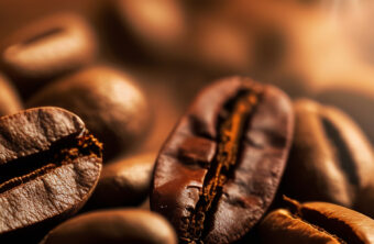 Como um bom café é cuidado do começo ao fim?